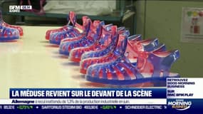 La méduse revient sur le devant de la scène