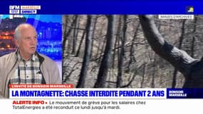 Massif de La Montagnette: chasse interdite pendant deux ans