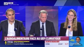 BFM Stratégie (Cours n°321): l'agroalimentaire face au défi climatique - 15/03