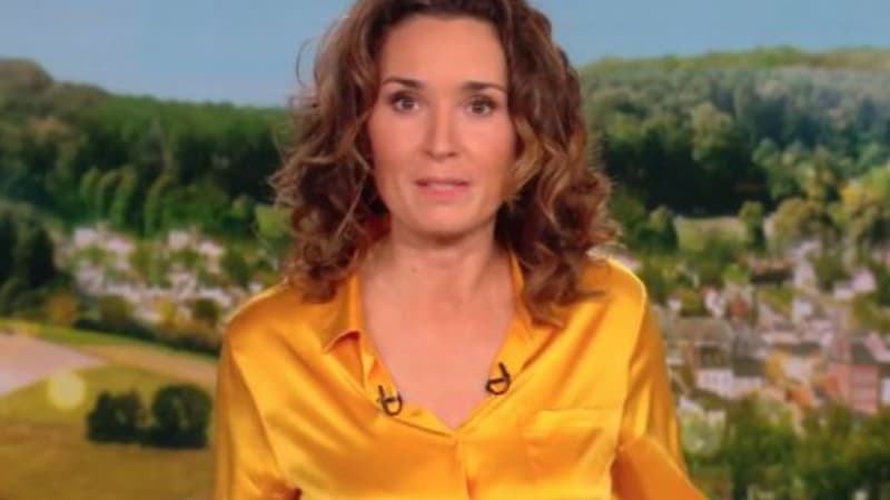 TF1 annule la diffusion du JT de 13h en "raison d'un problème technique"