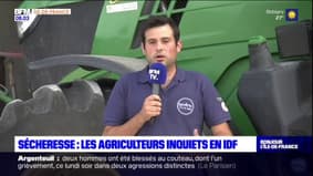 Sécheresse en Île-de-France: les agriculteurs inquiets