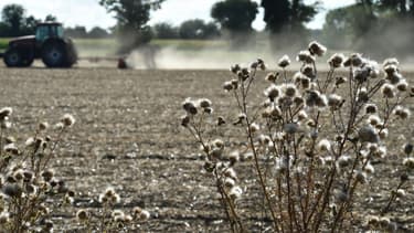 Une exploitation agricole - Photo d'illustration