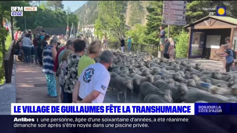 Alpes-Maritimes: le village de Guillaumes fête la transhumance