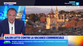 Salon-de-Provence: le maire évoque l'hôpital, les municipales et la métropole
