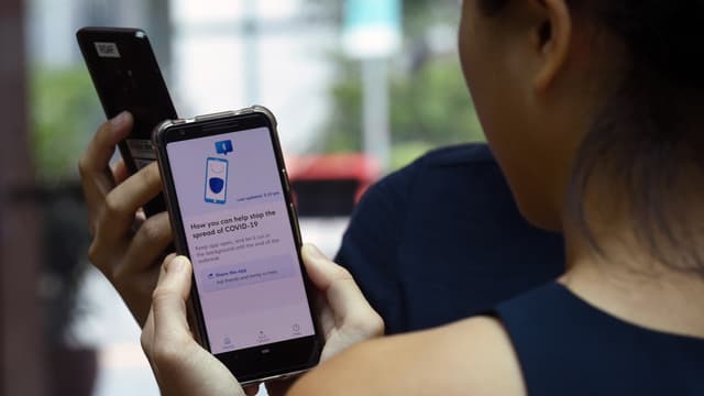 L'application de traçage numérique Trace Together, utilisée à Singapour.