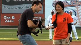Le chat héroïque donne le coup d'envoi d'un match de baseball à Bakersfield aux Etats-Unis, le 20 mai 2014.
