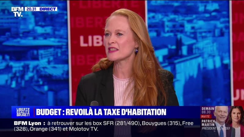 Retour de la taxe d'habitation: pour Violette Spillebout (Ensemble), cela serait 