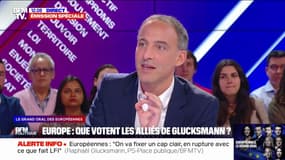 Élections européennes: "On est en train de remodeler en profondeur la social-démocratie européenne", déclare Raphaël Glucksmann (PS-Place Publique)