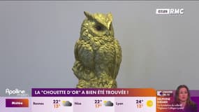 La "chouette d'or" a bien été trouvée