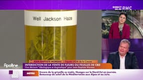 Moreau : "La population est bien plus mûre que les politiques"