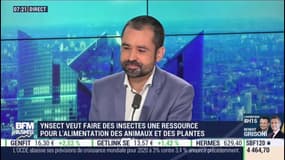 Antoine Hubert, Ynsect