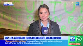 06 : les agriculteurs mobilisés aujourd'hui 