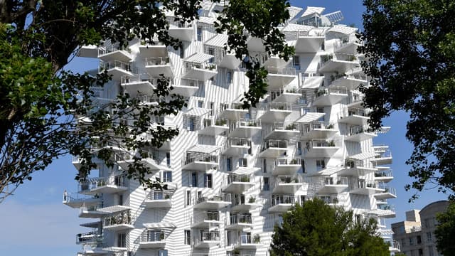 L'Arbre Blanc à Montpellier