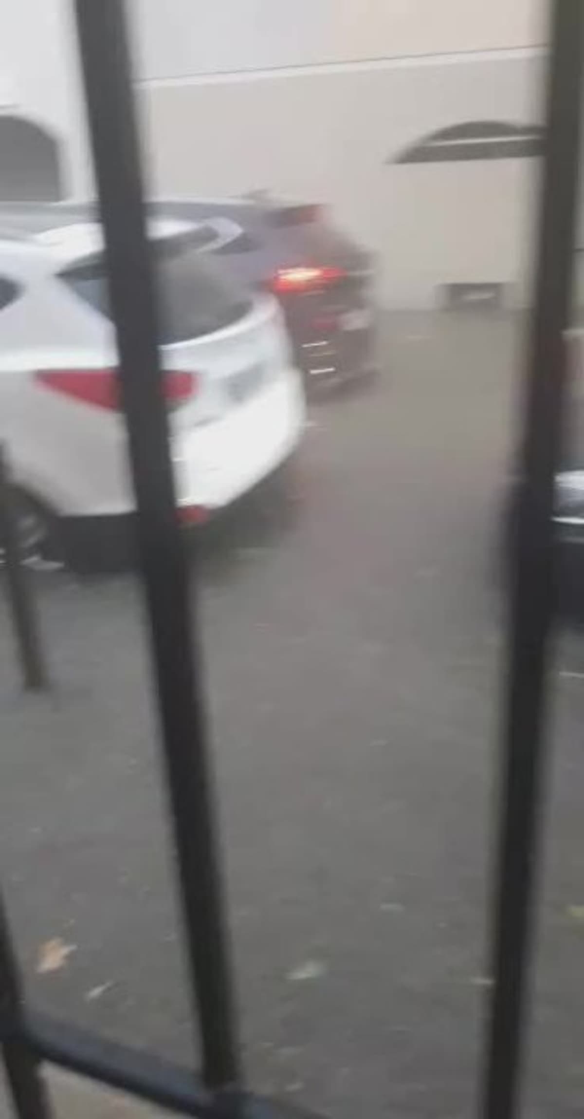 placeholder video