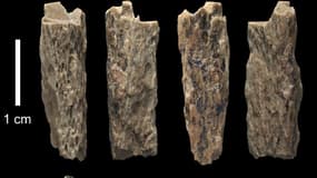 Les fragments découverts sont des os appartenant au tibia ou au fémur d'une petite fille