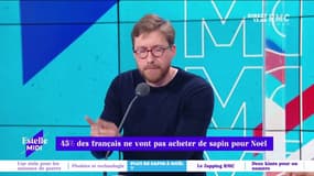 45% des Français ne vont pas acheter de sapin pour Noël - 11/11