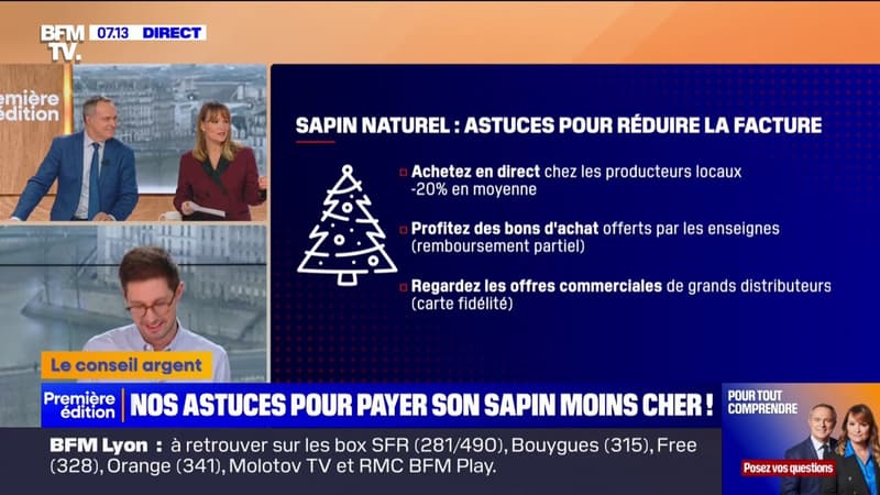 Les sapins de Noël devraient être vendus à prix cassés ces prochains jours