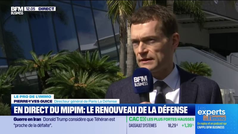 "À La Défense, certaines surfaces de bureaux ont vocation à rester vacantes"