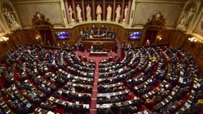 Cet amendement a toutefois fort peu de chances d'être adopté dans les mêmes termes à l'Assemblée