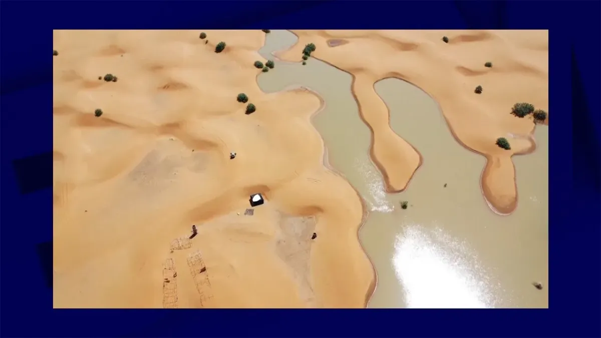 placeholder video