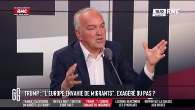 Face à Trump, les dirigeants européens "sont d'une lâcheté"