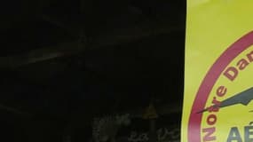 Les opposants à l'aéroport de Notre-Dame-des-Landes trouvent avec Ségolène Royal un soutien au sein même du gouvernement.