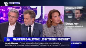Manif pro-palestine : 4 000 personnes à Paris - 20/10