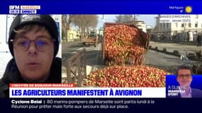 Provence: les jeunes agriculteurs "dans une impasse"