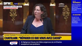 Cyrielle Chatelain (EELV) : "Monsieur le président de la République, entendez que la cohabitation décidée par les Français depuis plus d'un an, s'impose à vous"