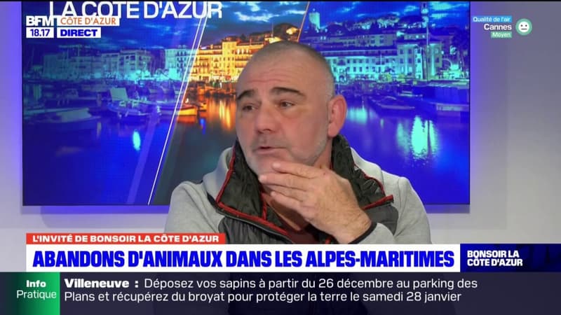 Alpes-Maritimes: les abandons d'animaux en hausse après les fêtes