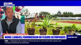 JO 2024: un pépiniériste nordiste fournisseur de plantes pour le Village olympique