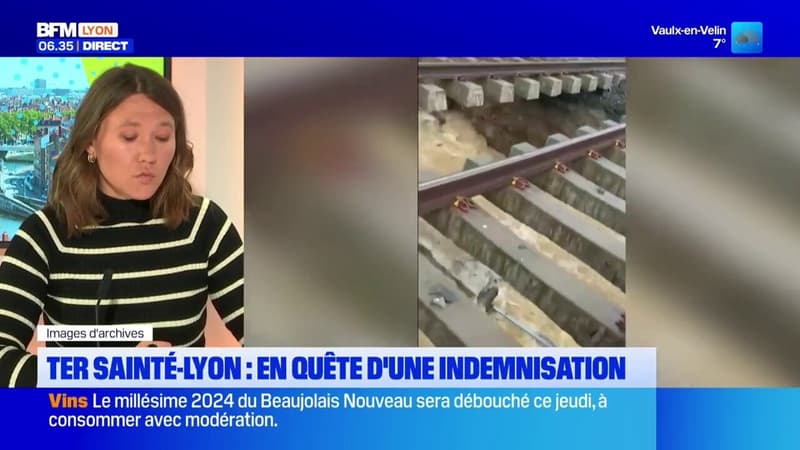 TER Saint-Étienne-Lyon: les usagers veulent être indemnisés