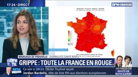 Grippe: Toute la France en rouge