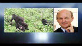 Sida: "On a fini par retracer l'histoire de l'origine du virus"