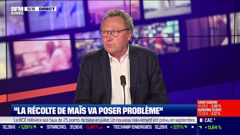 M.Portier (Agritel) : La récolte de maïs va être un sacré problème