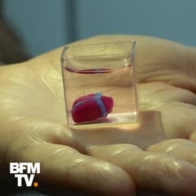Voici le premier cœur imprimé en 3D et réalisé à partir de cellules humaines