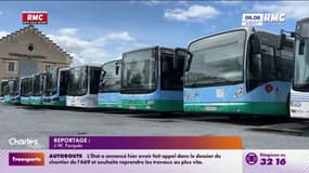 Tarn: des bus cloués au sol faute d'assurance 