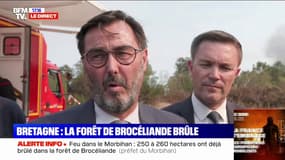 Incendie dans la forêt de Brocéliande: "Pour l'instant, le feu est contenu aux deux-tiers", selon le préfet