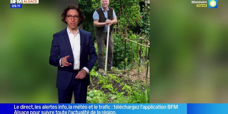 Un peu de cinéma, du jardinage et de la bonne humeur - La météo de Colas du mardi 27 janvier 2026