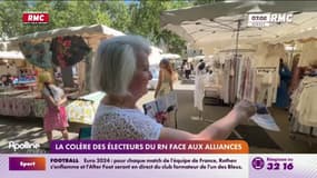 Législatives: la colère des électeurs du RN face aux alliances