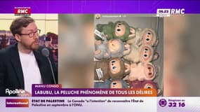  Labubu, la peluche phénomène des réseaux sociaux