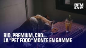  Bio, premium, CBD… La "pet food" monte en gamme 