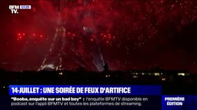 À Paris, Cannes ou Marseille, les images des feux d'artifice pour le 14-Juillet