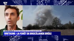 Bretagne : La forêt de Brocéliande brûle - 12/08