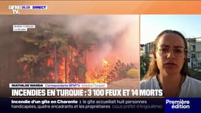 Plus de 3.100 feux se sont déclarés en Turquie depuis le début de l'été