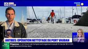 Antibes: vaste opération de nettoyage des fonds marins au port Vauban