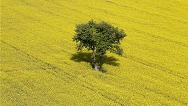 Le deuxième mois d'avril le plus chaud depuis 1900. Les restrictions d'eau s'étendent à 17 départements français