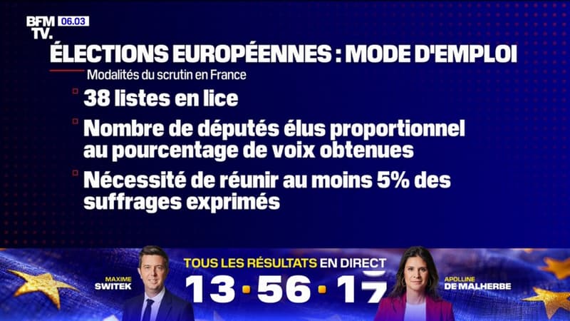 Regarder la vidéo Européennes: les Français appelés aux urnes pour désigner leurs 81 représentants au Parlement européen