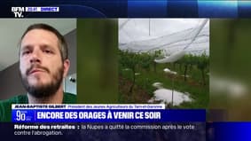 Orages: le président des Jeunes Agriculteurs du Tarn-et-Garonne redoute "entre 5 et 10 000€ de pertes"
