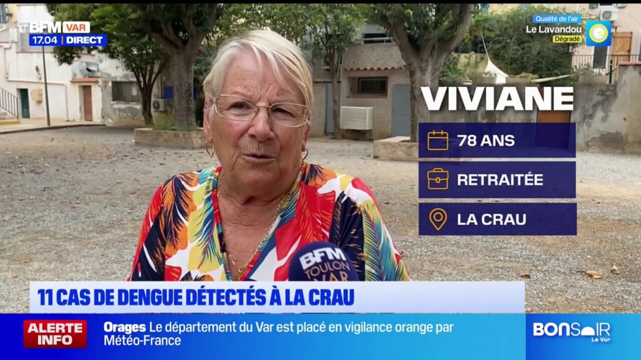 Var: 11 nouveaux cas de dengue détectés à La Crau, des opérations de démoustication en cours